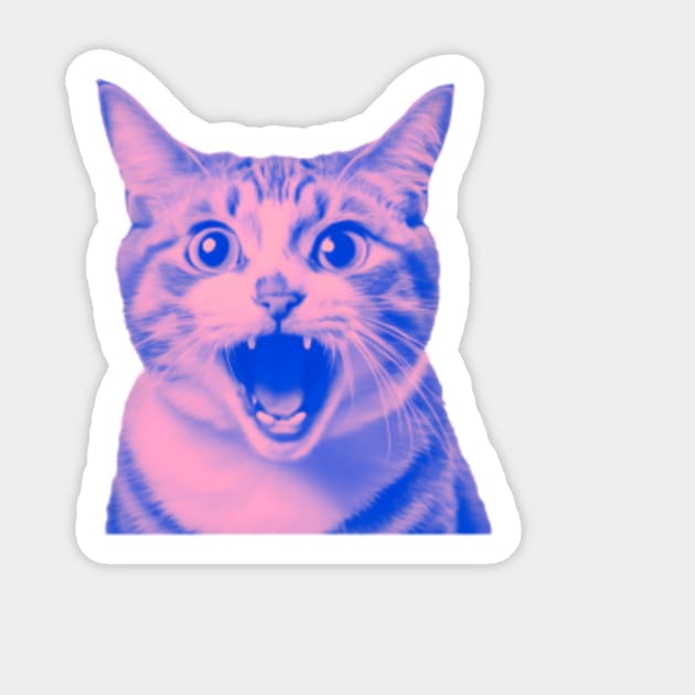 Funny best sale cat scared
